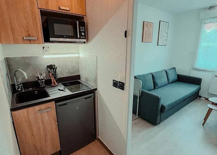 Appartement Du Voyageur, Gare, Centre, Europole, Cea *