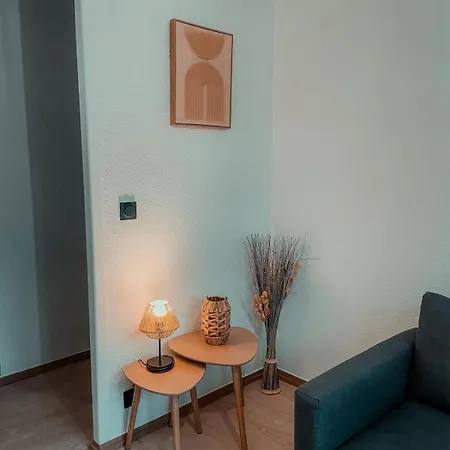 Appartement Du Voyageur, Gare, Centre, Europole, Cea *