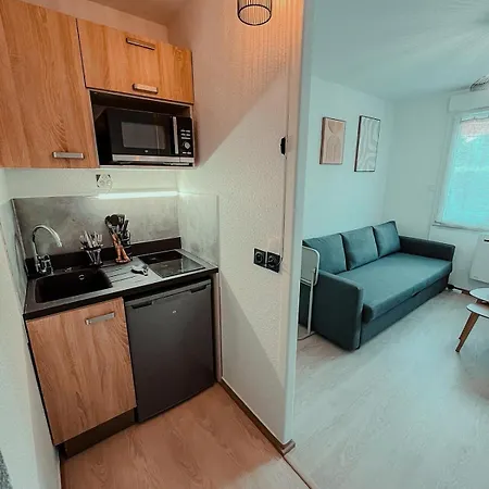 Appartement Du Voyageur, Gare, Centre, Europole, Cea *